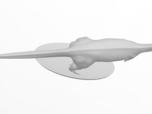 aucasaur 3d print model 3D Baskı Modeli