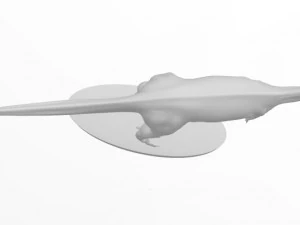 aucasaur 3d print model 3D Print Model