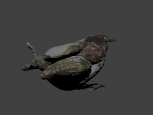 bird1 3D Model