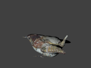bird1 Modelo 3D