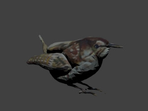 bird1 Modelo 3D