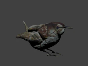 bird1 3D Model