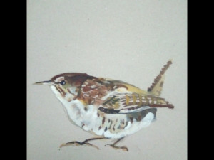 bird1 Modelo 3D