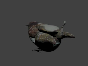 bird1 3D Model