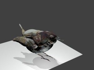 bird1 Modelo 3D