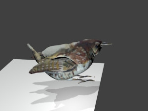 bird1 Modelo 3D