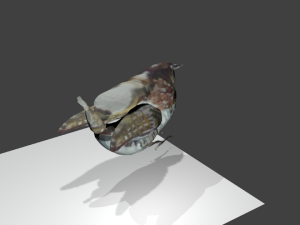 bird1 Modelo 3D