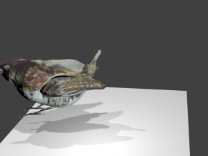 bird1 Modelo 3D