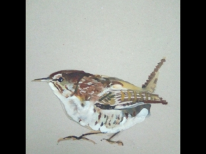 bird1 Modelo 3D