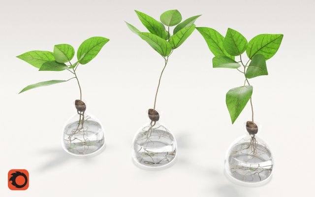 vase and plant 3D Model .c4d .max .obj .3ds .fbx .stl .blend 