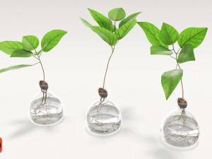 vase and plant 3D 모델