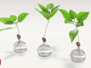 vaso e planta Modelo 3D