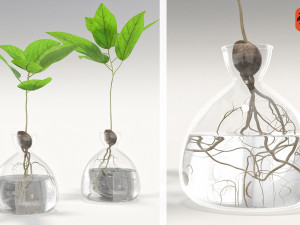 vase and plant 3D Model