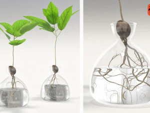 vase and plant 3D Model