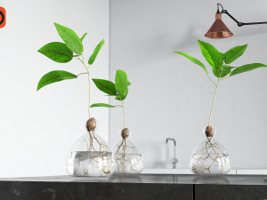 vase and plant 3D Model
