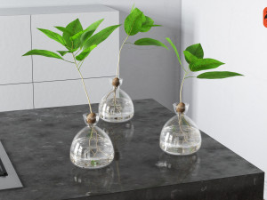 vase and plant 3D Model