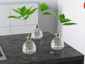 vase and plant 3D Model