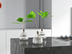 vase and plant 3D Model