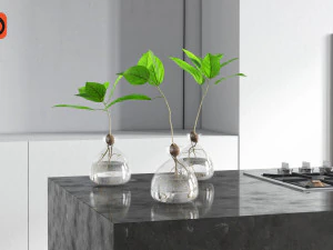 vase and plant 3D Model