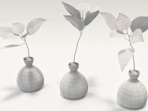 vase and plant 3D Model