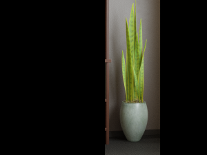 office scene 3D Model