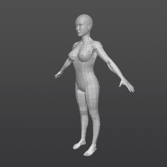 Girl base mesh Model 3D .c4d .max .obj .3ds .fbx .stl .blend 