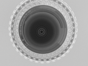 ligt Model 3D
