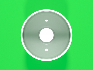 plate Model 3D
