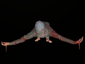 Capture man Model 3D