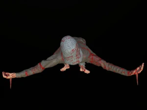 Capture man 3D Model
