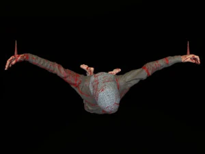 Capture man 3D Model