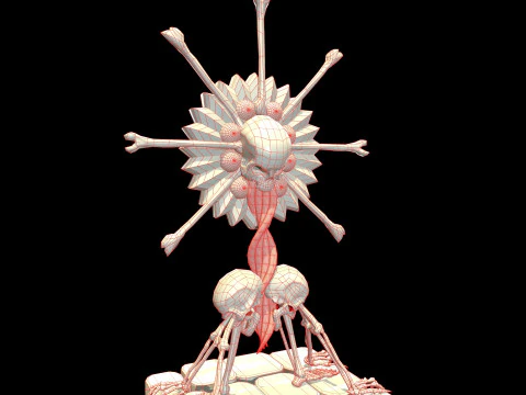Statue Medieval Skeleton 3D Model