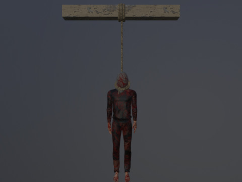 Hanged 3D Model