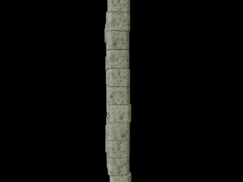Catacombs Skeleton Medieval 3Dモデル