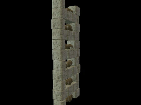 Catacombs Skeleton Medieval 3D Model