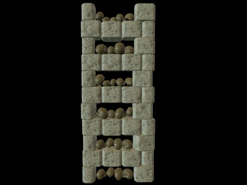 Catacombs Skeleton Medieval 3D Model