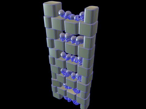 Catacombs Skeleton Medieval 3D Model