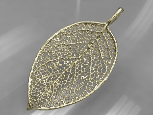 leaf from the tree 3D मॉडल