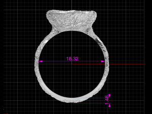 kochutt ring Modello 3D