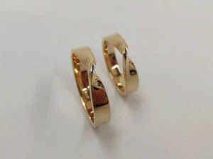 кольцевая петля 3D Модель