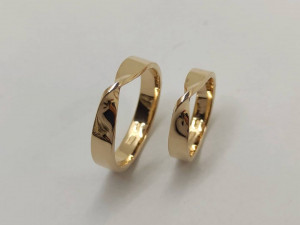 ring loop Modello 3D