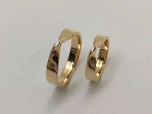 ring loop 3D Model