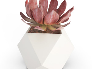 wooden decorative objects Model 3D
