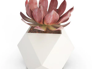 wooden decorative objects 3D Model