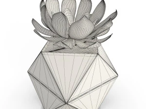 wooden decorative objects 3D Model