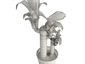 dracanea tree Model 3D