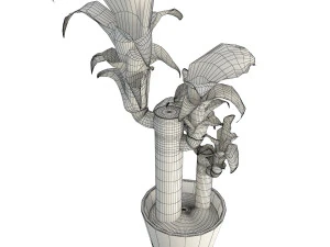 dracanea tree 3D Model