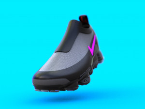 nike shoes 3D 模型