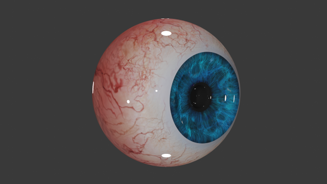 realistic eye 3D Model .c4d .max .obj .3ds .fbx .stl .blend 