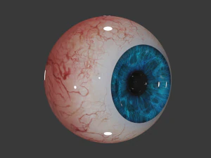realistic eye 3D Model